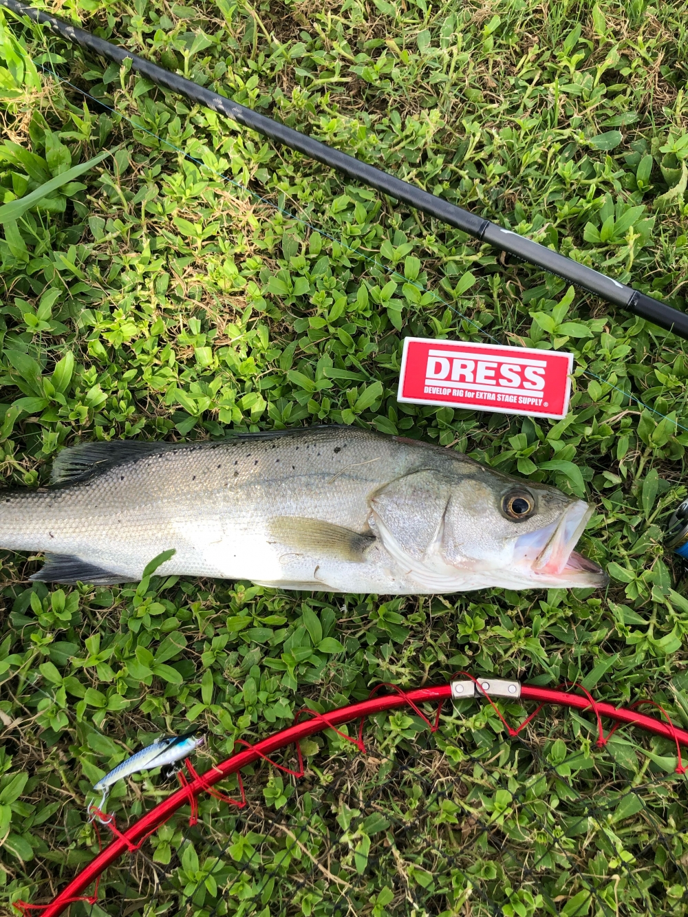 12279_0_fe0588b70c6d1aa092274fcfad5ee4a4