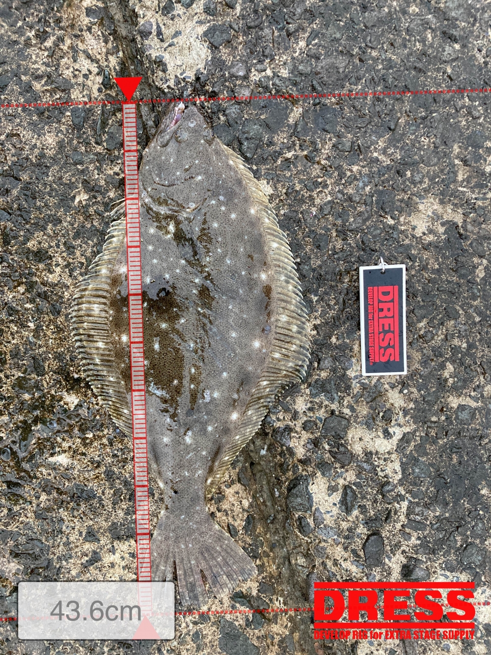 12317_0_235940ff2d897b67af39e2c6d7c04da2