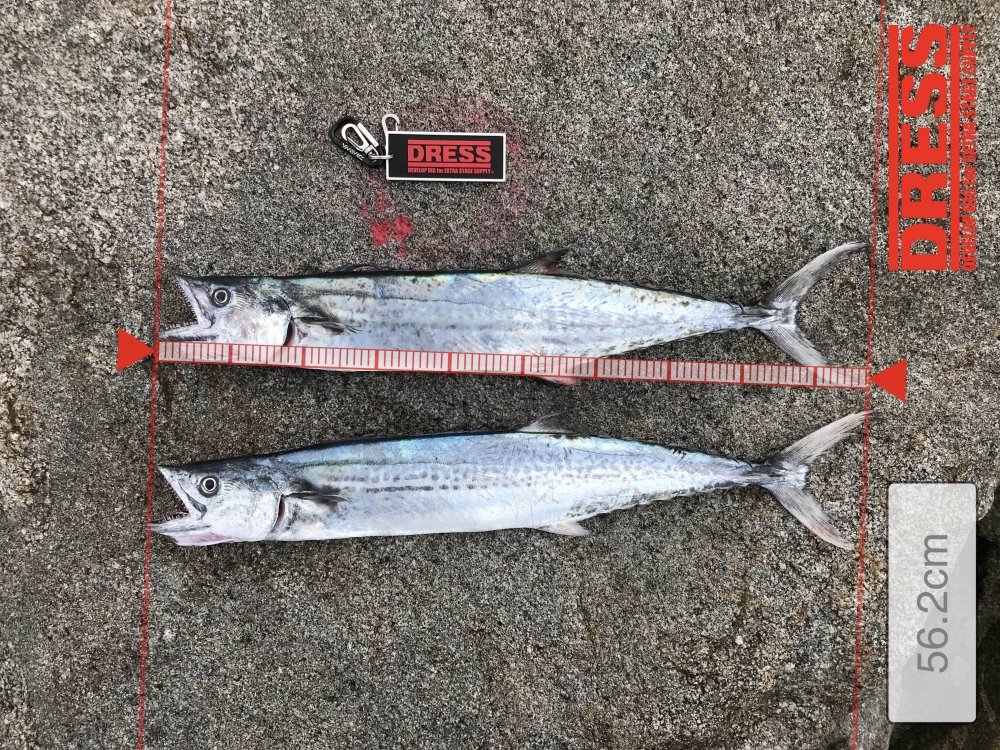 12319_0_286c6a325728d914c7b2bcf5a2093814