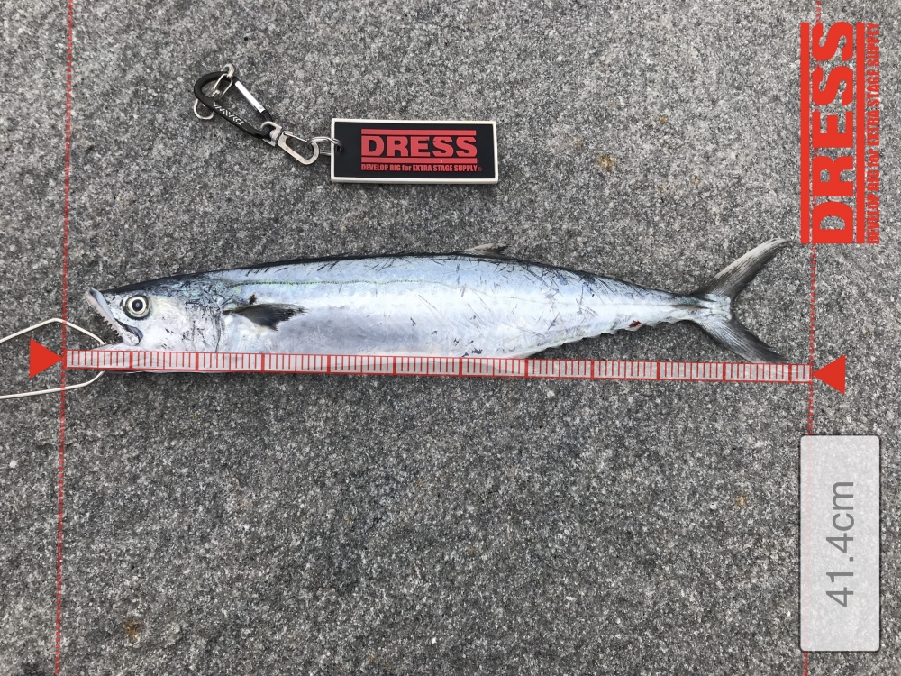 12319_0_58d66f0b22cfd5c686e9de4696c153a2