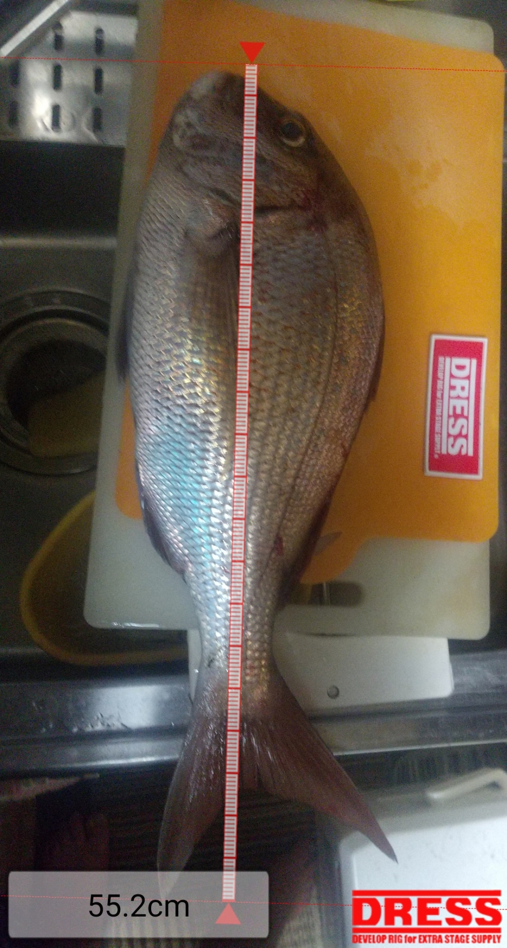 12327_0_50568dcddbbe608ccdf26cbaa57ca6de