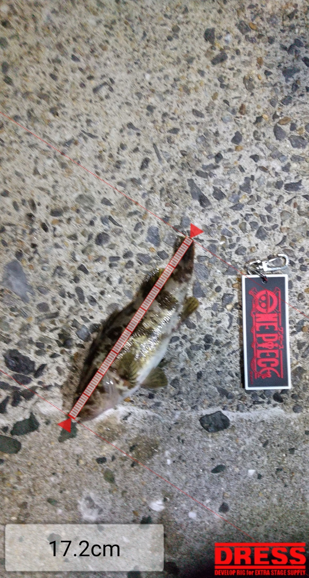 12362_0_285785e5f4f7e011172dae80e6b64f56