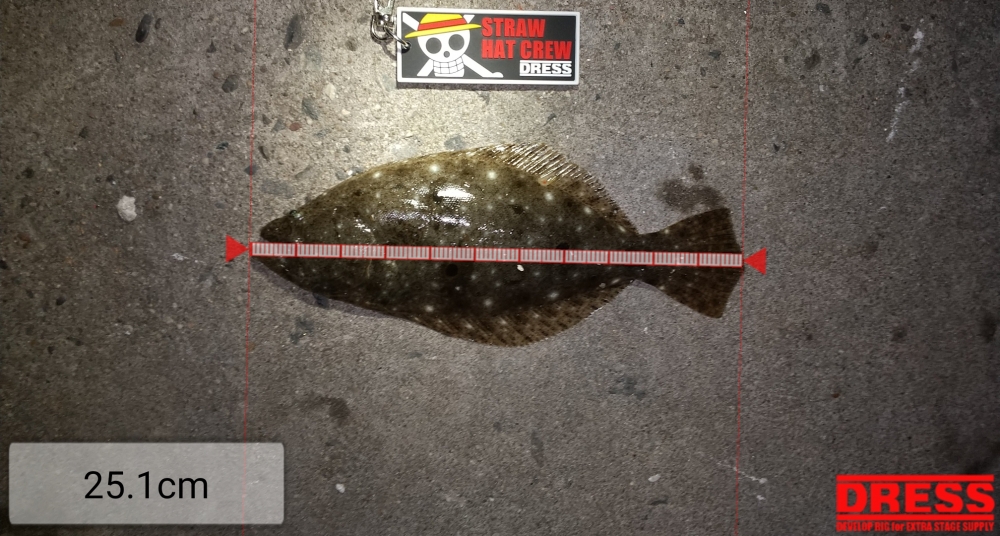 12362_0_a418af683c14c5807f9d5099eac82433