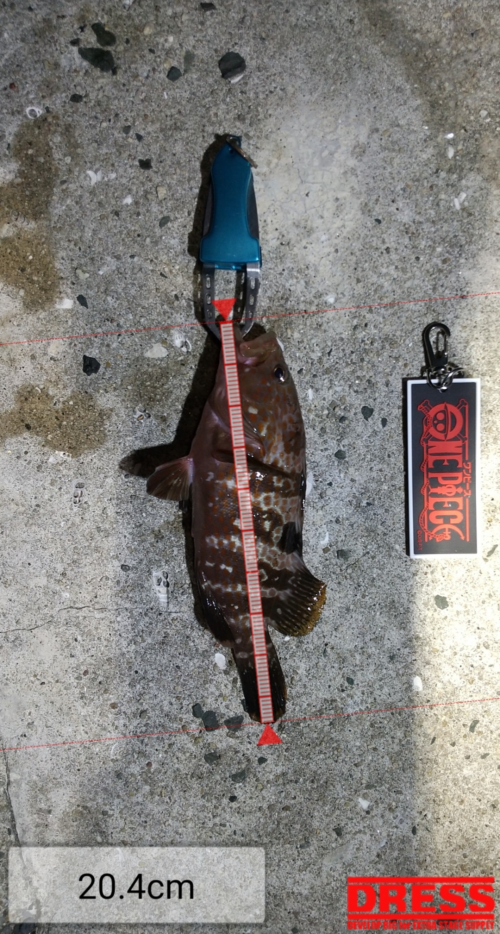 12362_0_c44cda893371167152fbba97dd560f67