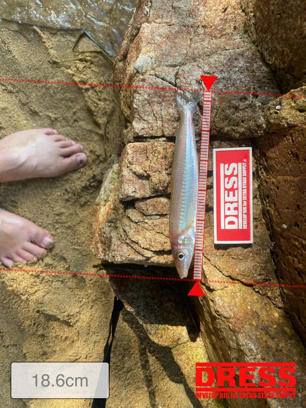 12382_0_68308d355bed89f74cfeebd3234ddfb6