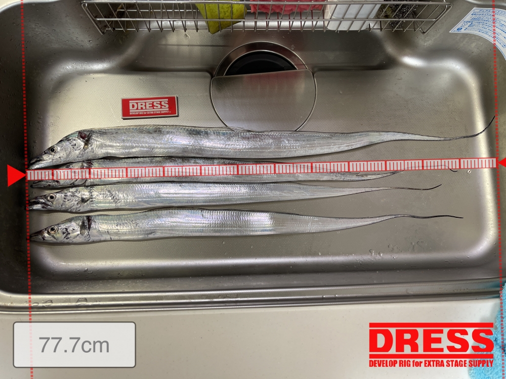 12415_0_264b209b35b6c6fac227bd82870697d6