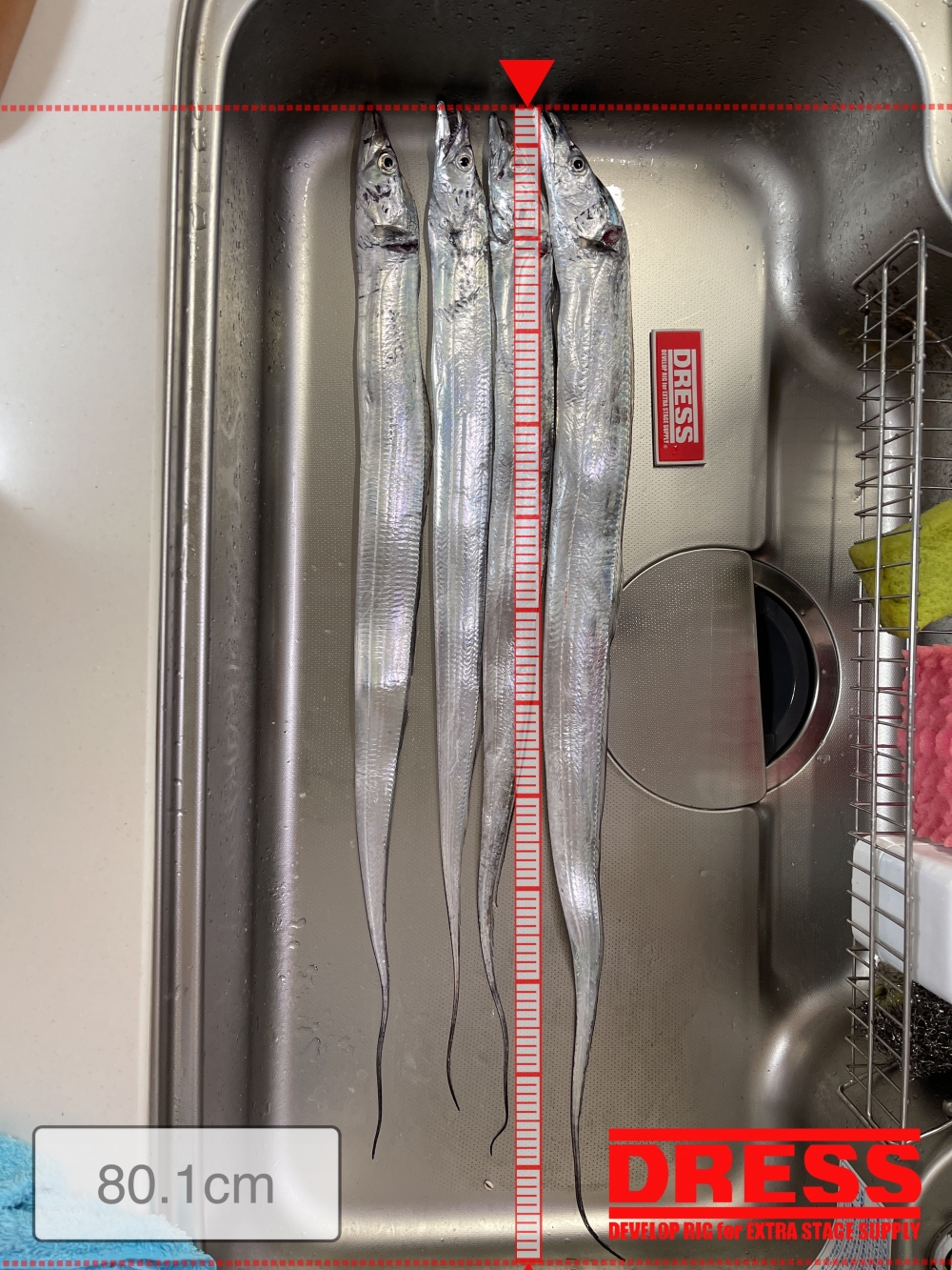 12415_0_ff26670e296eb450b700c24bd199fa67