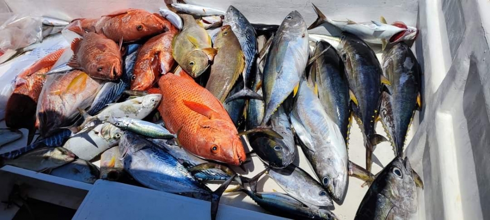 12432_0_d42d937471d128a69d7435abf3cfd154