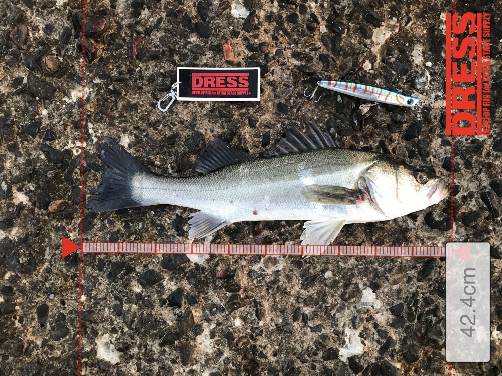 12487_0_4ac09de8a9eab7b4b9ce47390a7b86c2