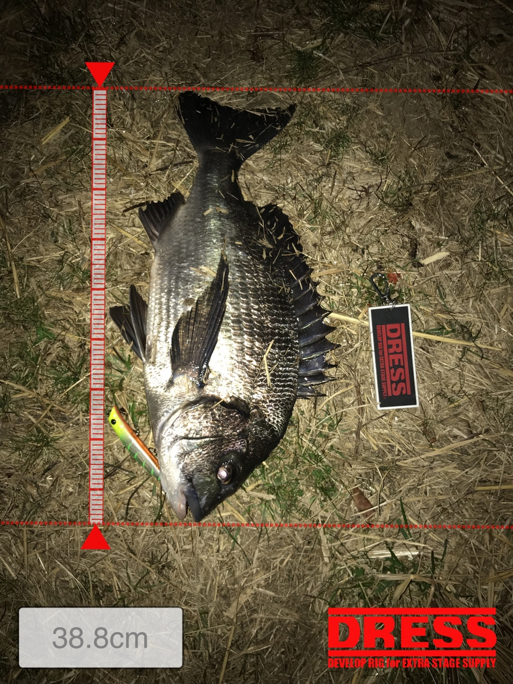 12487_0_6b8d54aac02034a4f73d49b953073fda