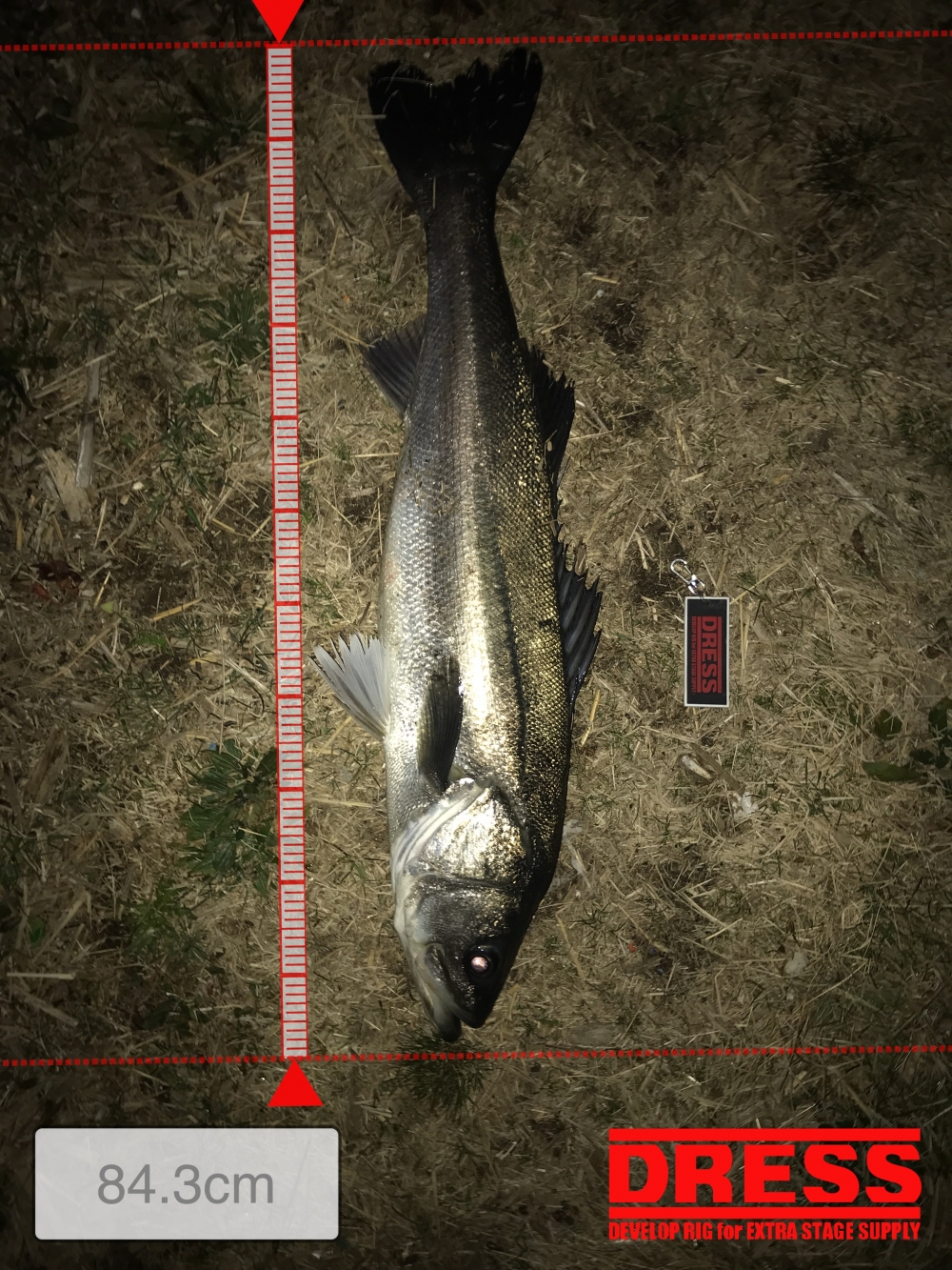 12487_0_77c10e5496e7c3bad2af7127681c95f4