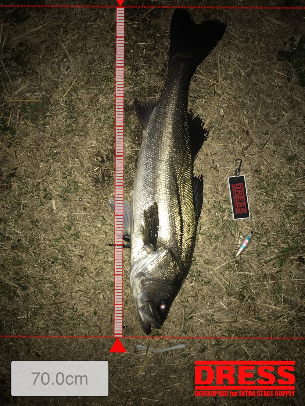 12487_0_c1efc5543d20dfba0a4a69482a238331