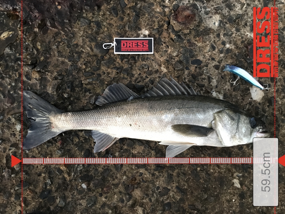 12487_0_ccd7da2663a07012c1f71112a25f1661