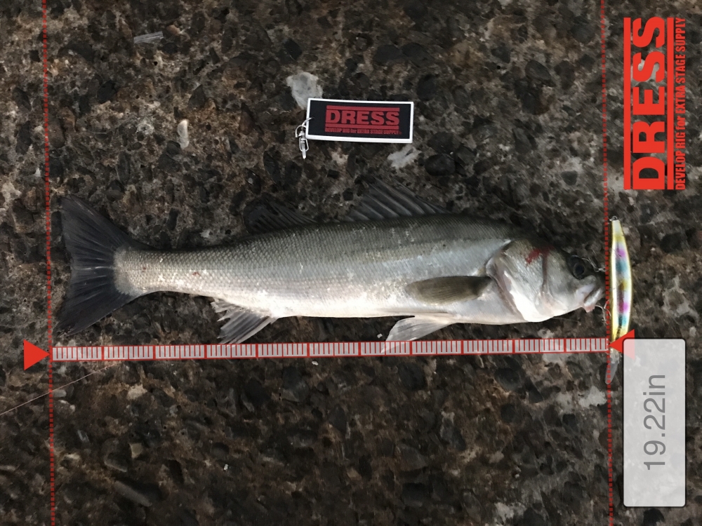 12487_0_dc8ea2f322c6f9bc2a2d83bccb9f78b5