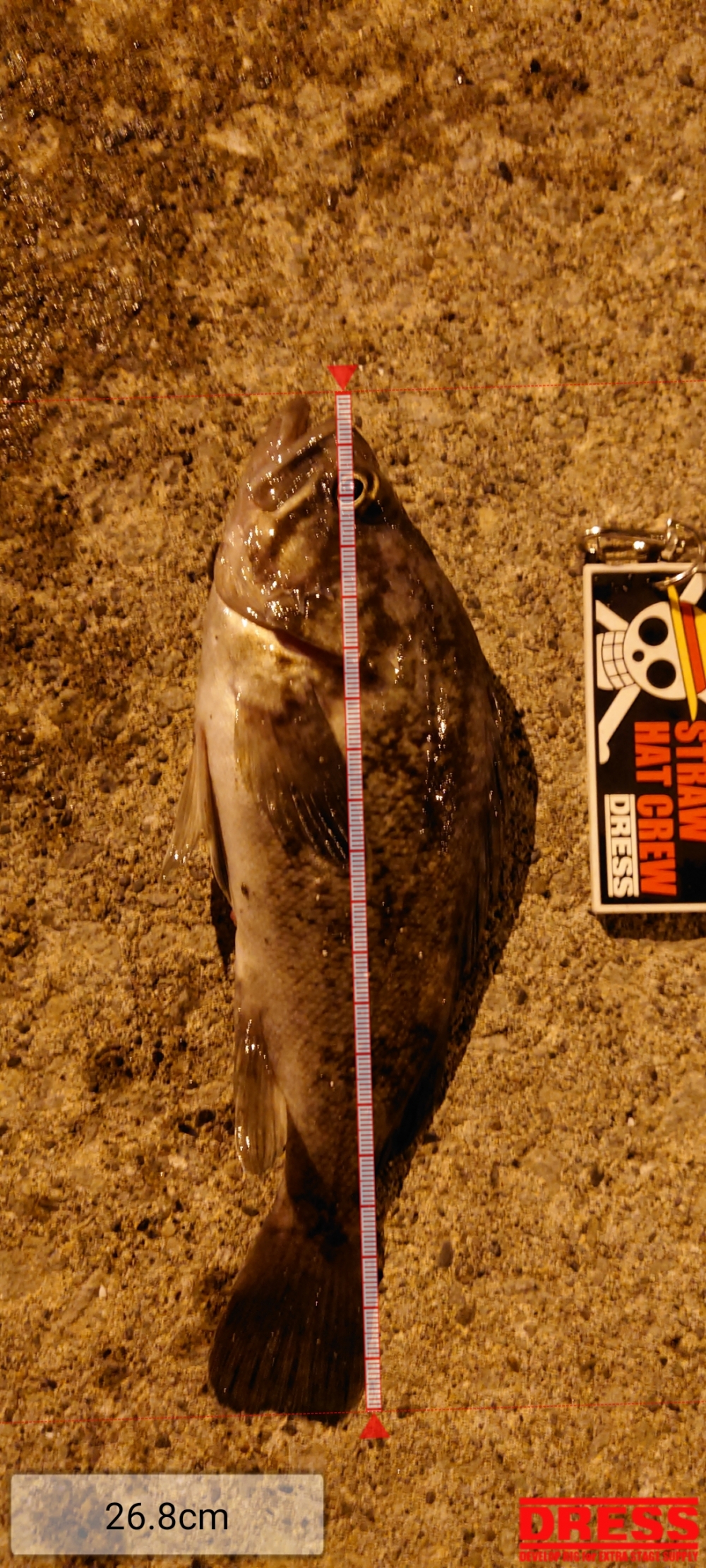 12495_0_ed90c9bc3b8085f9cd4019b0c2d98dd7