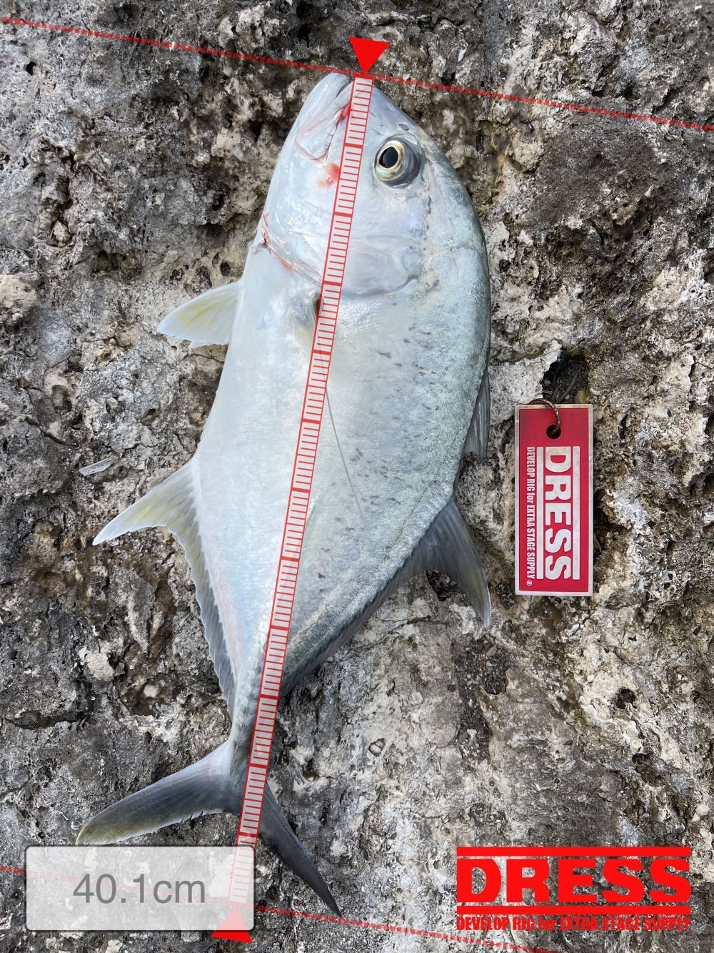 12577_0_cfd6e8b058391fdd80ed87bd5531e7c2