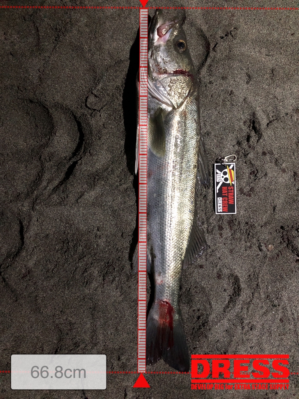 12616_0_1f0bfccacedad6db22fc3bac8acbb429