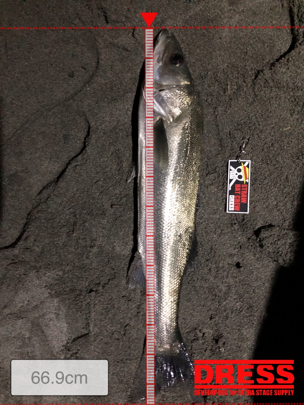 12616_0_644d230932755c9205ada448c77e4c04