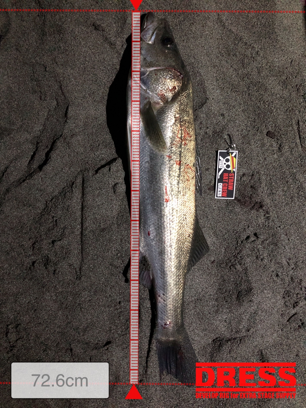 12616_0_b45d45e8d6092c4e076fabd37c4fc2e1