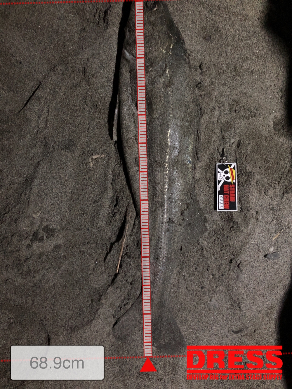 12616_0_d37f8ec29ab187ca5c2c432e69c9bfb2