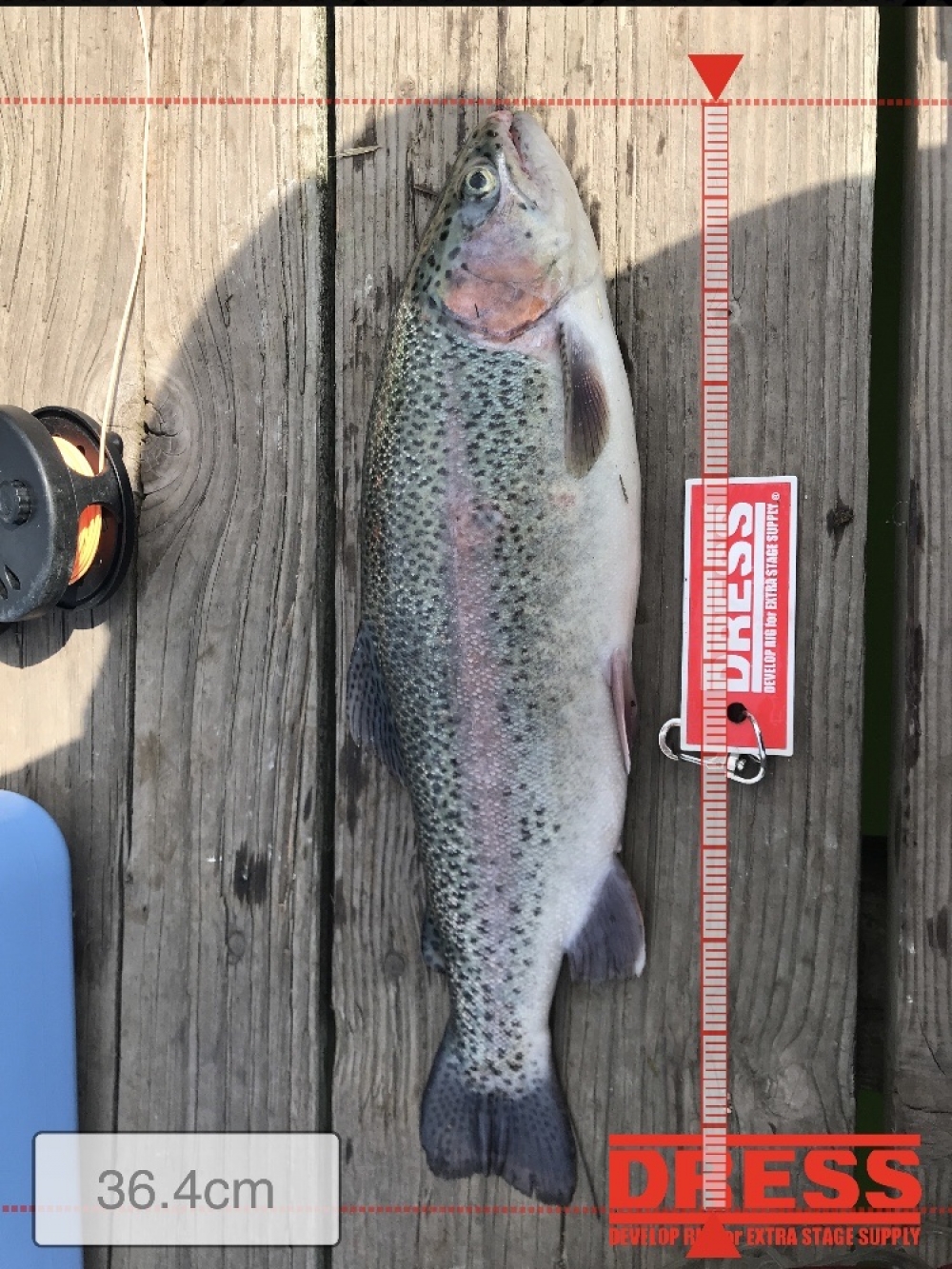 12751_0_94b32a8fbbefc1ab6715a7c93382d738