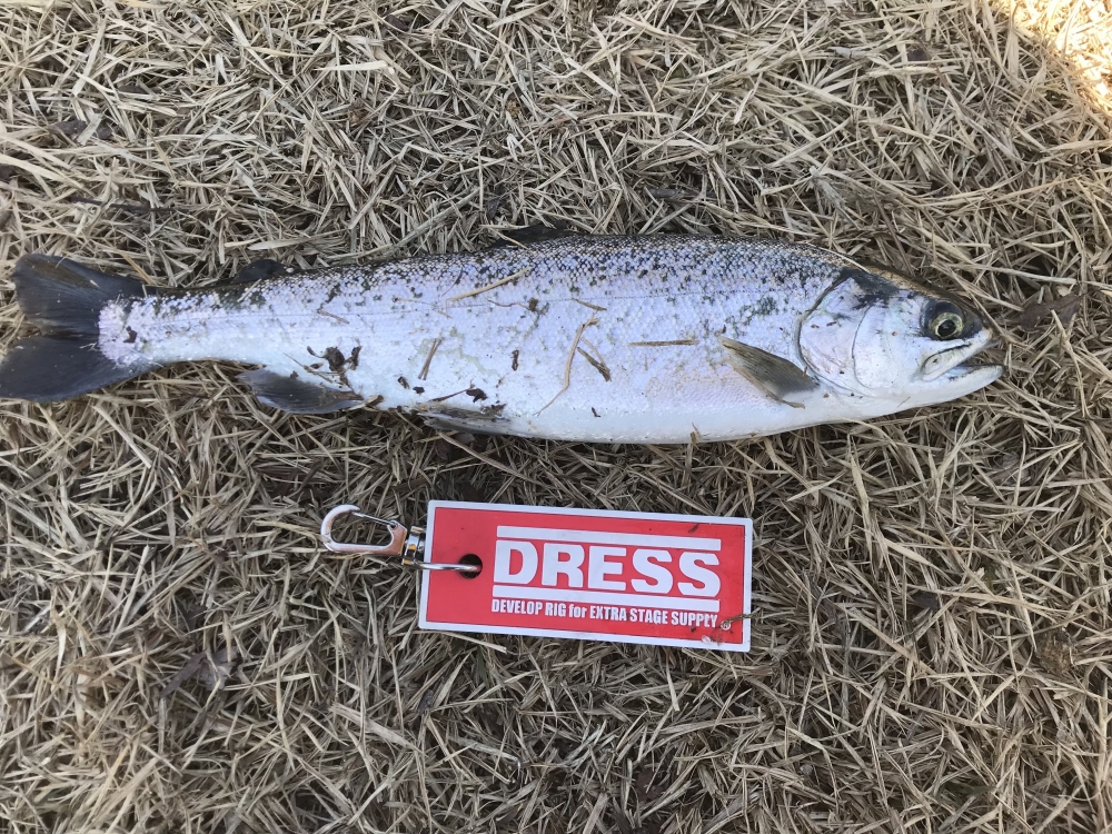 12751_0_e2a08ecb68ca84b5e38b616043f70d4f