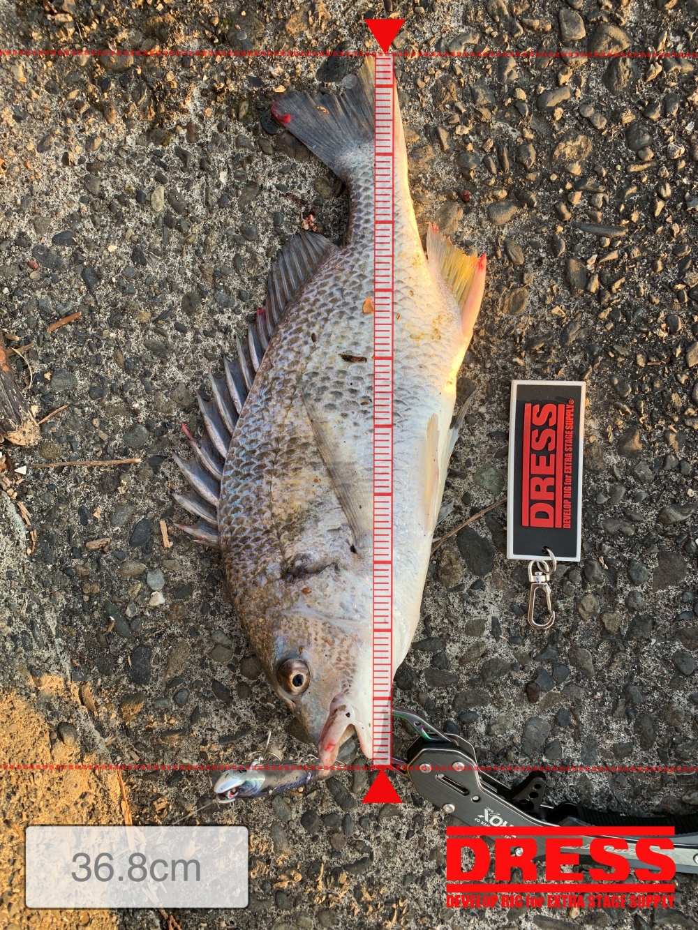 12799_0_05d2845662000af35a704bbd9266b728