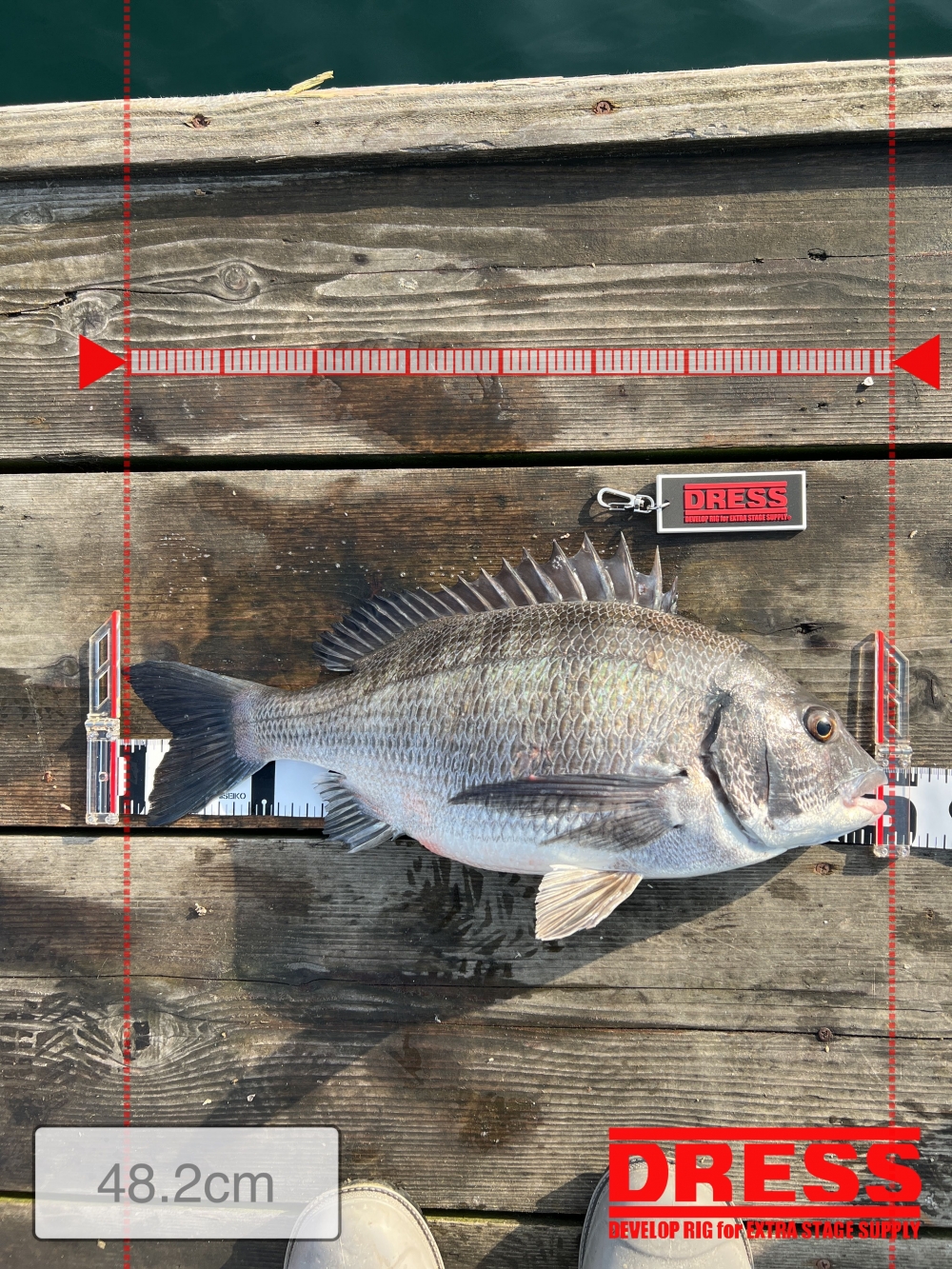 12806_0_0c47aca40991382d6cf6ef89c61a6f9f