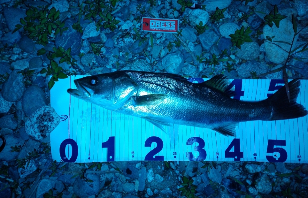 1416_0_0d3b4cbc36bd78e8db57cbc6d5947845