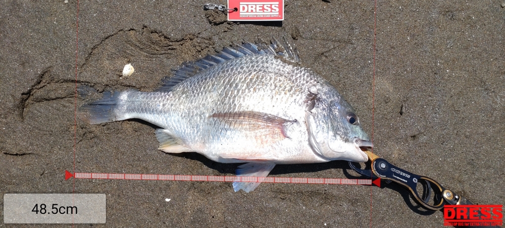 1416_0_2100370aff40f127d8b806432564f5bd