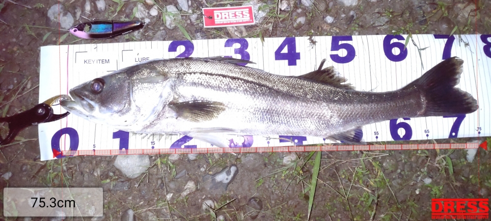 1416_0_cb43e5c16e6f68ce125f3aacf15eef39