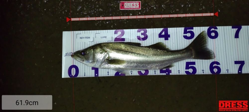 1416_0_d64558e9c42d4d37270002e96c8033c0