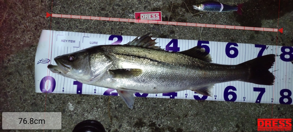 1416_0_dd349ba6f2531813e4d45c71bc67b23f