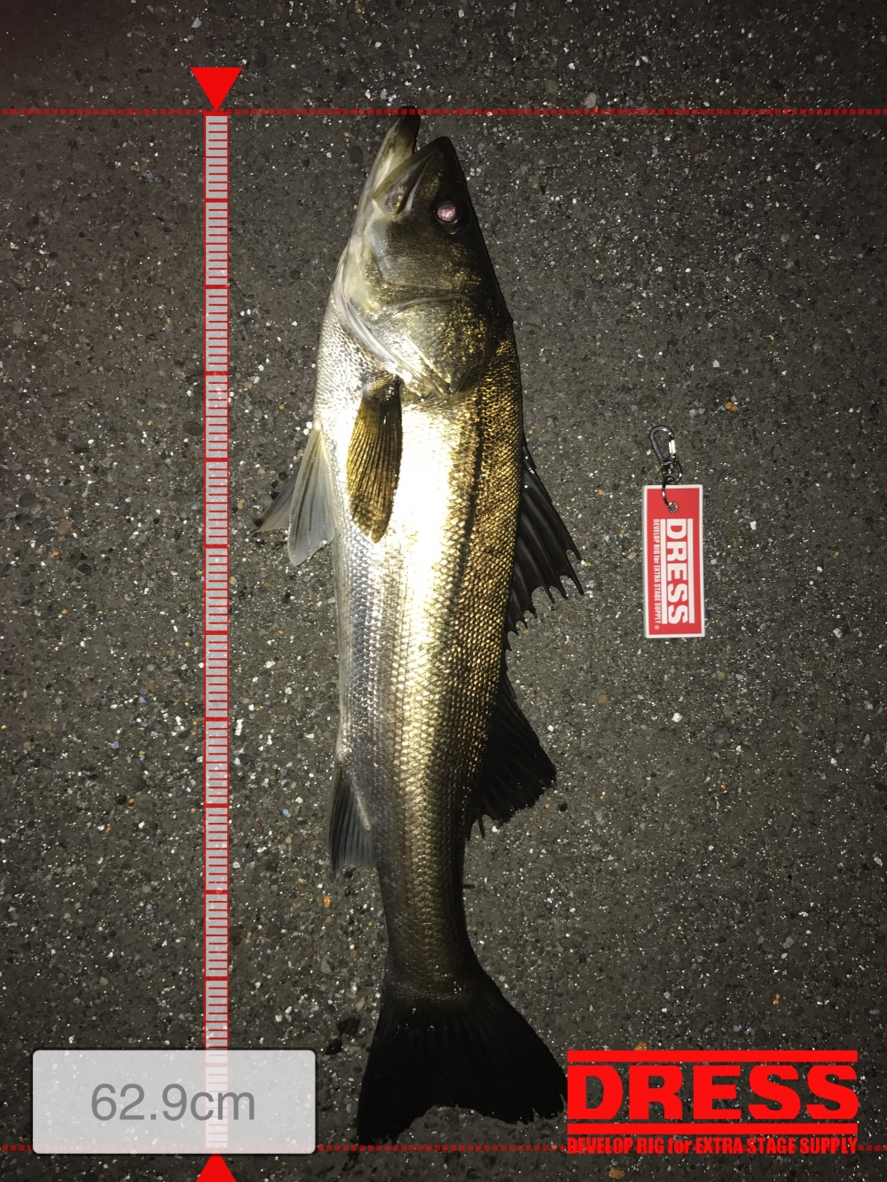 1443_0_1c7a7256bdec1ba740c85972fd7ac6bd