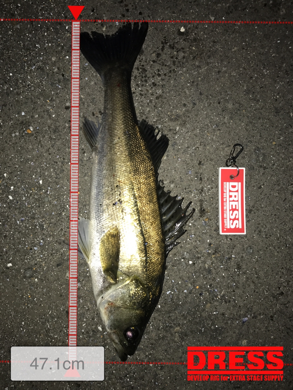 1443_0_26de531c8cb4c1efce4d3c435eb79a61