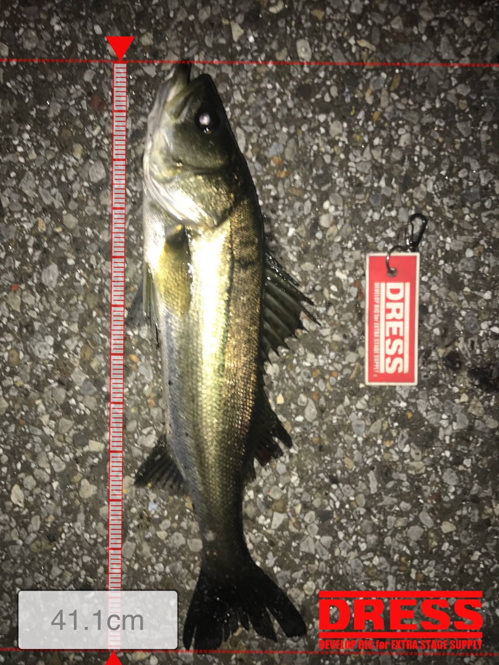 1443_0_4b8ab0f206645ced3d3785a56d5462b3