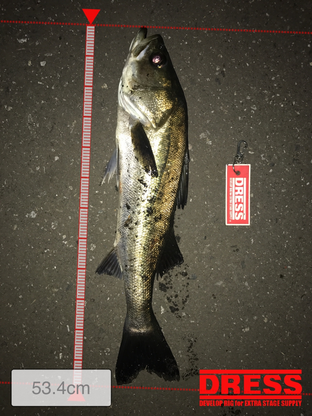 1443_0_5b52a1f6323eb0fa2c8b421d642da69a