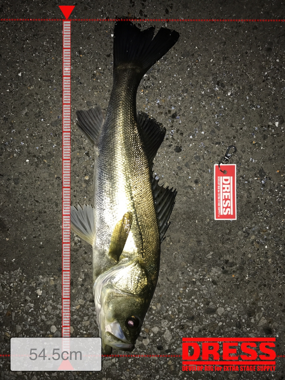 1443_0_a939b4023c6115317f83d2cb067e70e5