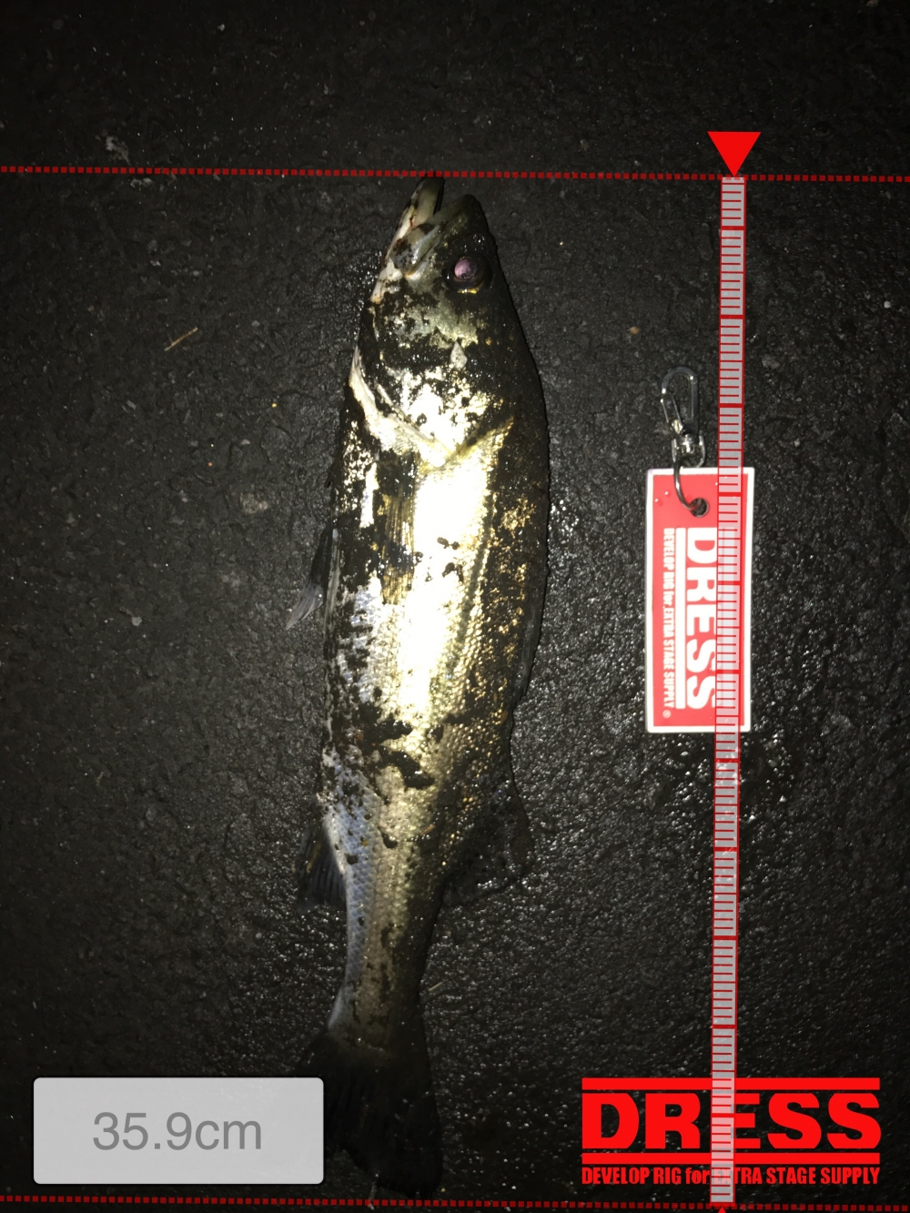 1443_0_f8a1af3509b9efb3f6a6a97f9237607b