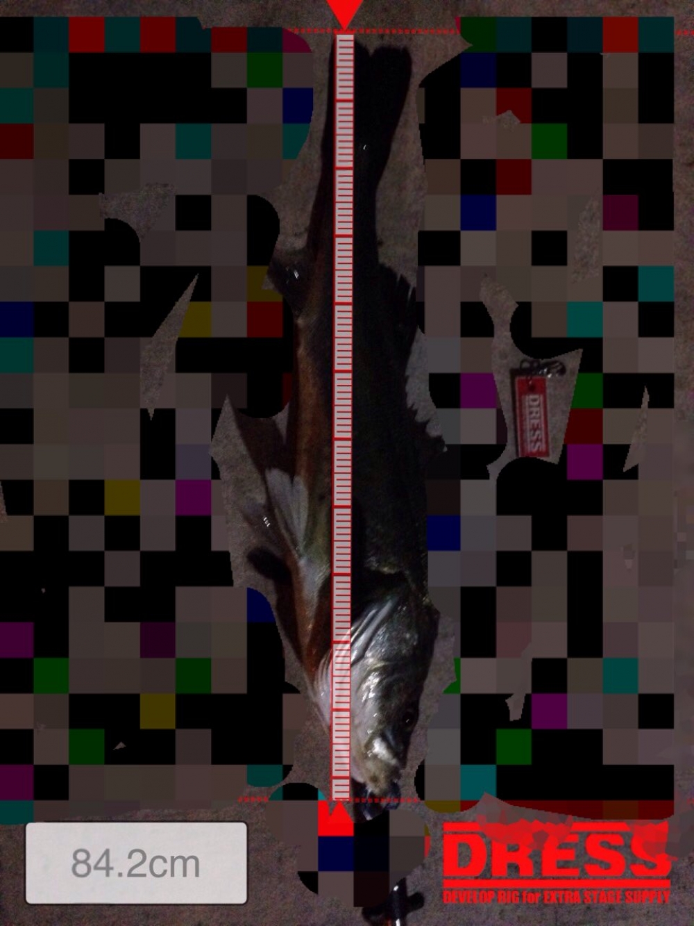 1487_0_4c2da5c81c0339f4b934d46010a92e9e