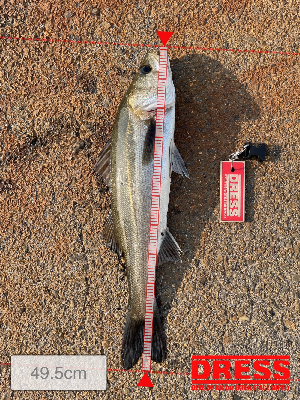 1544_0_3b1194de9c6b23bb3fcc42a938e2bd95