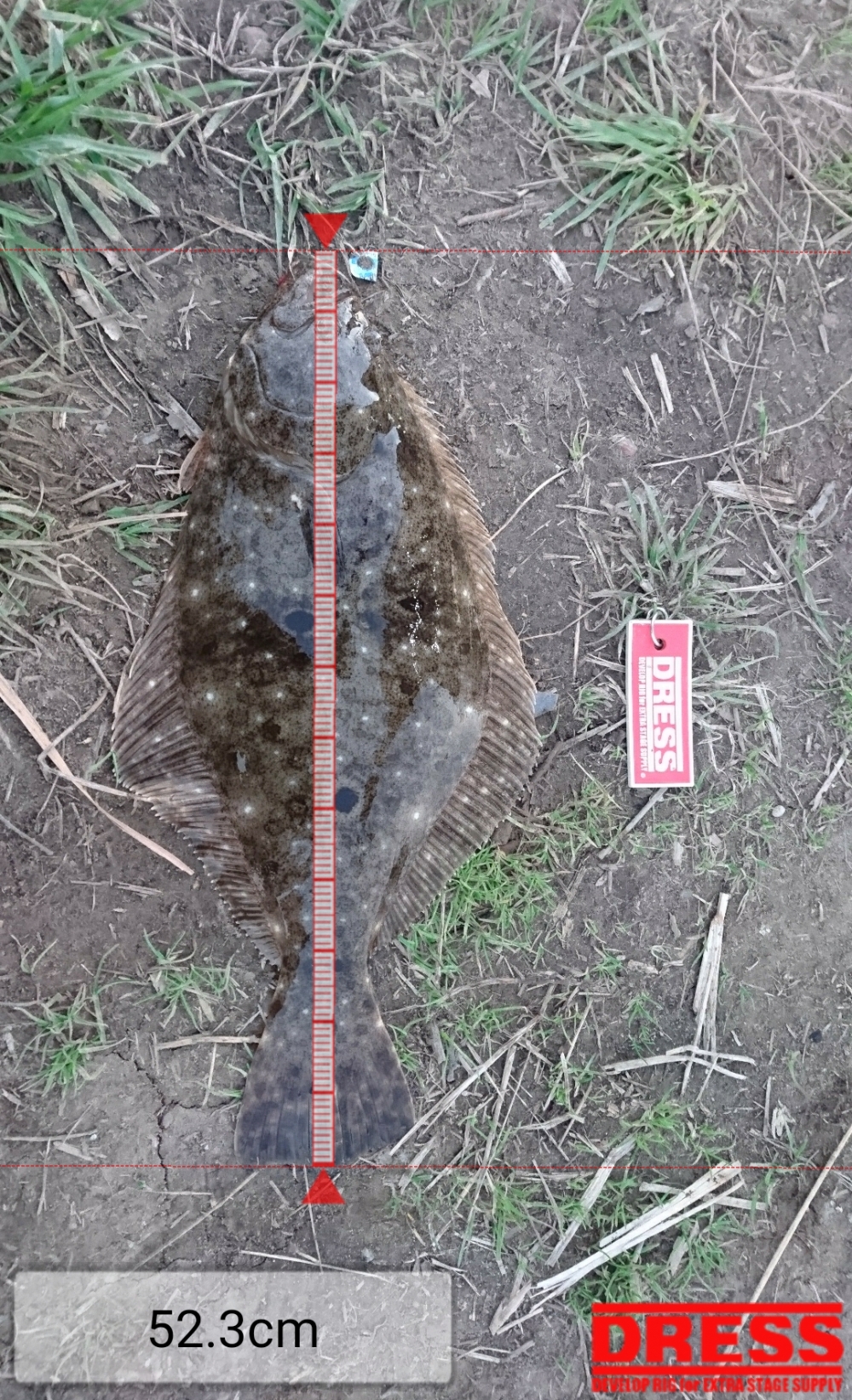 1556_0_ddaf11fff1a14e4141dfc5ddcd6d446a