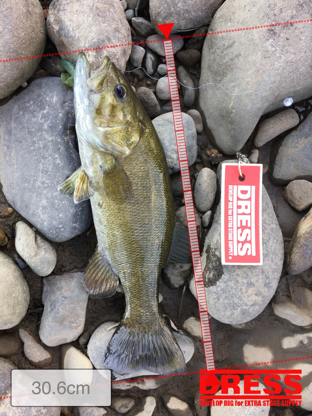 1614_0_324abfe86ac8fb250cdf7f72e1df582e