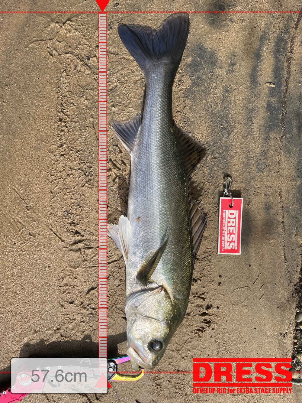 1685_0_14319b6db901fc68e7e1a6716bda2d98