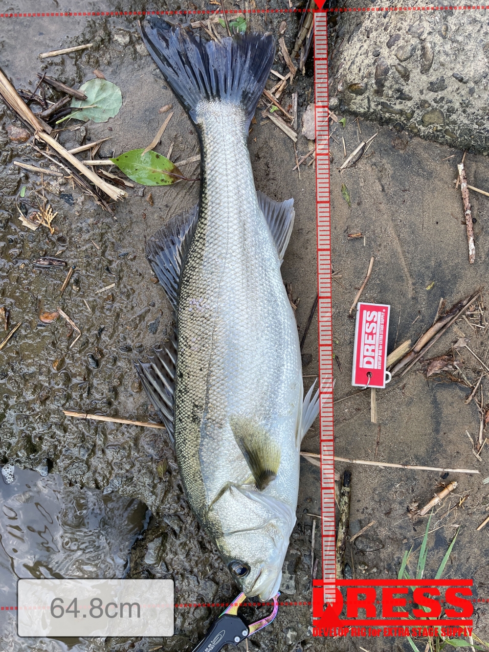 1685_0_37830595aff9d52ab9bed2c727f65f25