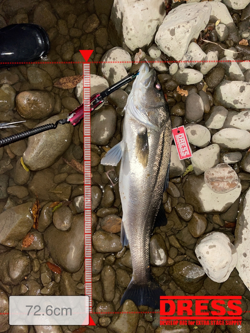 1685_0_a1ab991e5e8bf2e7452ae8557ba7e4cc