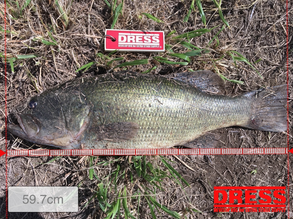 1686_0_3e20c6dd9fdbf88a6fff273d08789ee4