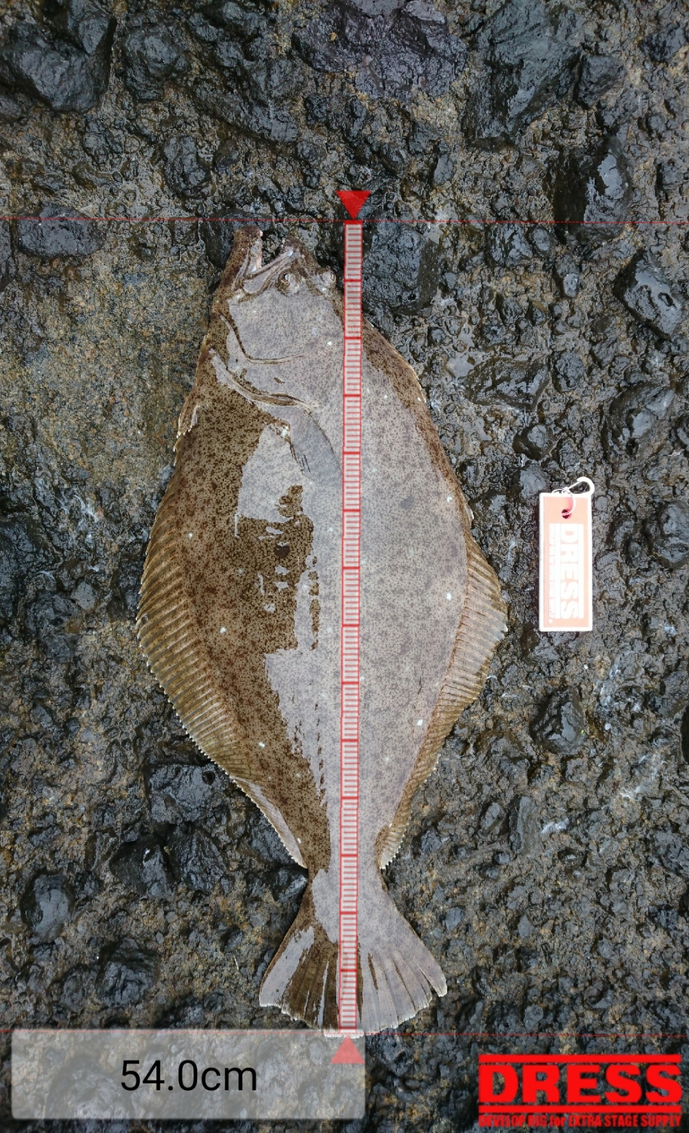 1757_0_0d2863d5d071df7cd7d65f9653ee3fcf