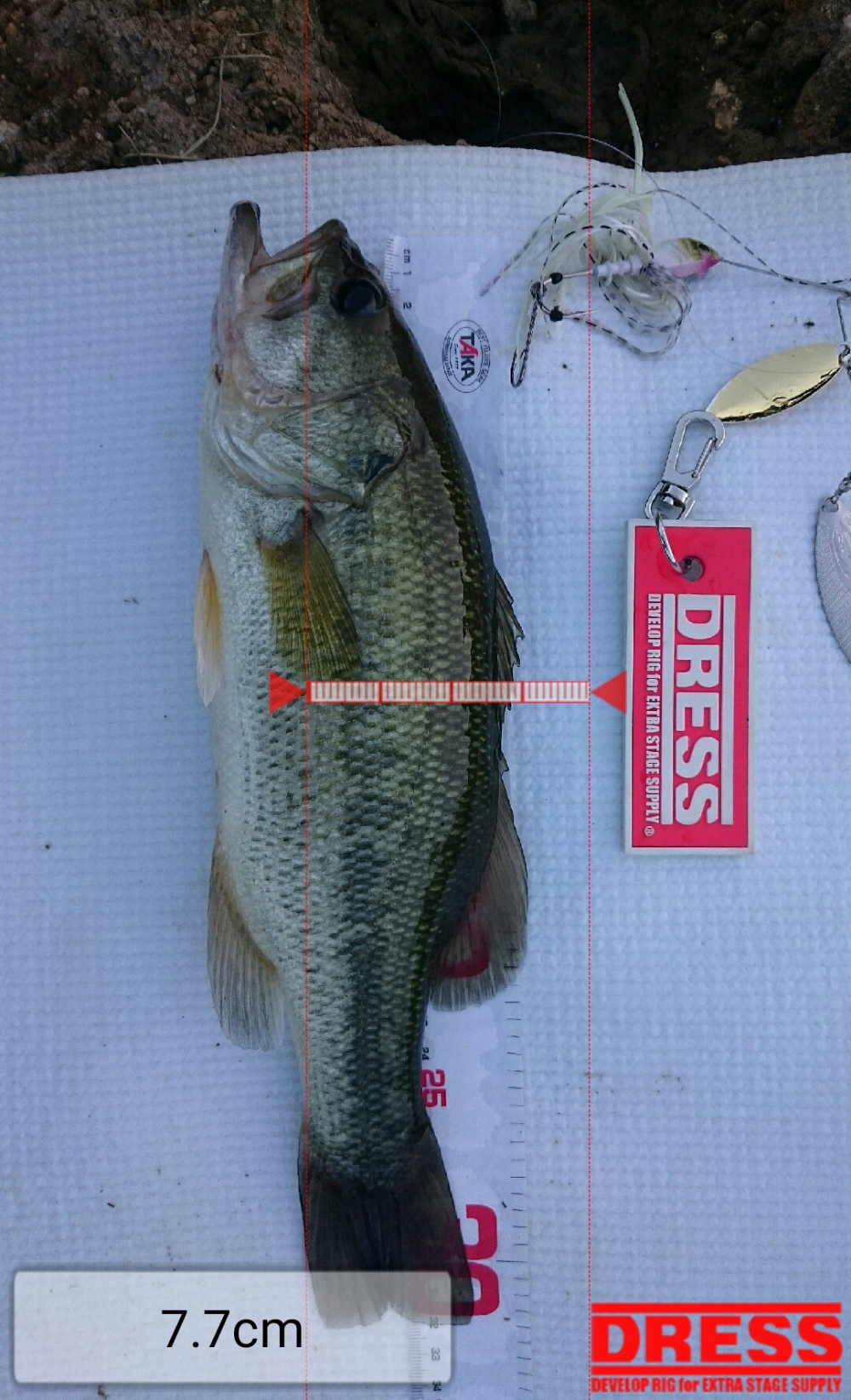 178_0_1232e6b8f3e6c8a220536af7bc32849e