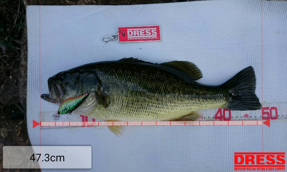 178_0_6b71a9aba470d5f55f81c4f95b1aa4cd